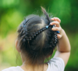 מסרק כינים - תמונת אווירה